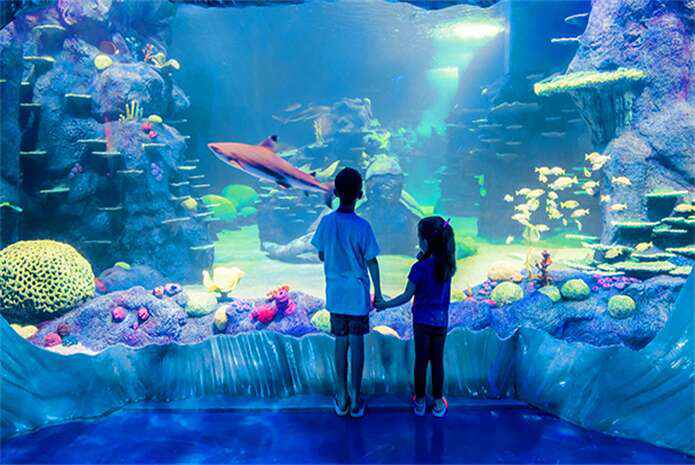 澳大利亚 | 悉尼水族馆 SEA LIFE Sydney Aquarium 入门票