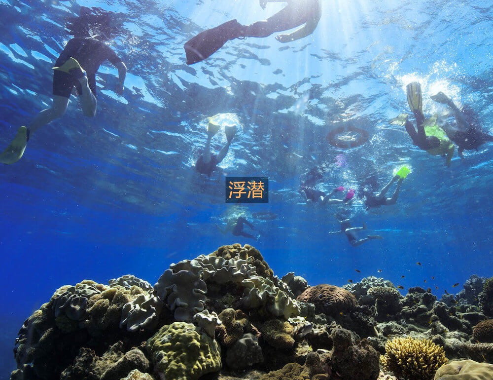 澳大利亚 | 凯恩斯大堡礁经典3日或4日游= FIT自由行首选 （两人成行、随时出发）