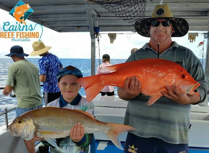 澳大利亚 | 凯恩斯 大堡礁海域海钓Reef Fishing 