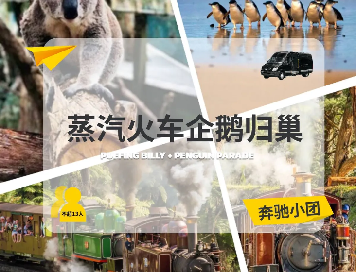 澳大利亚 | 墨尔本  奔驰团 古董蒸汽火车+企鹅岛一日游（13人最多）