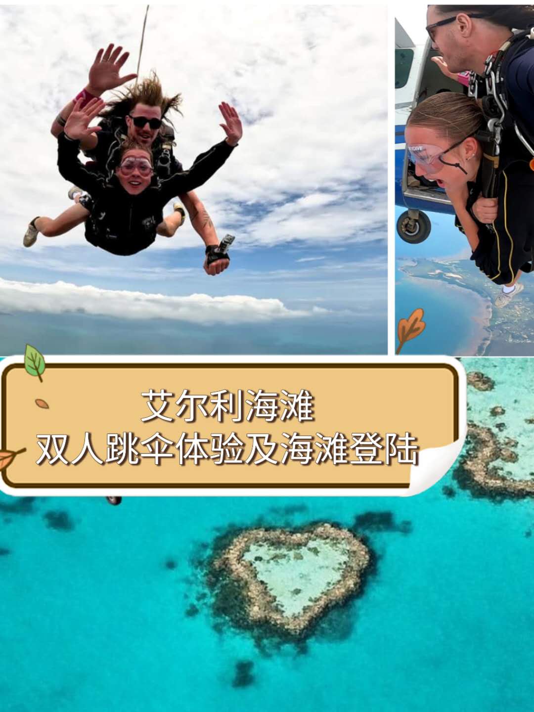 澳大利亚 | 艾尔利海滩：双人跳伞体验及海滩登陆