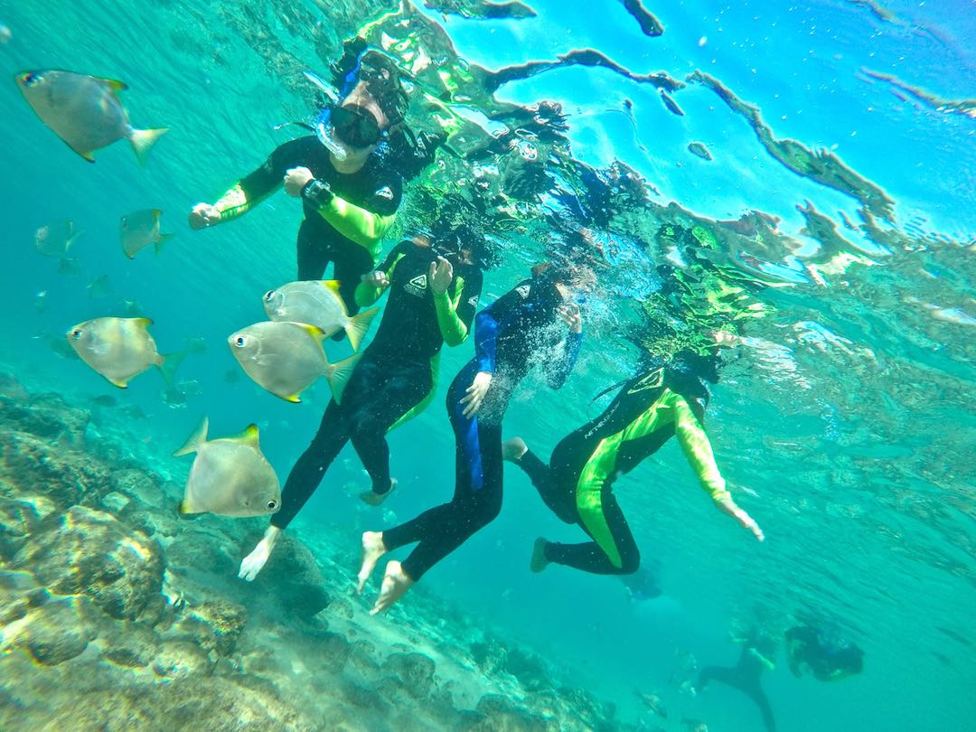 澳大利亚 | 黄金海岸：波浪岛皮划艇和浮潜之旅 2小时Gold coast Kayaking & Snorkelling tour-英文导览