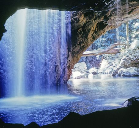 澳大利亚 | 黄金海岸往返  春之泉国家公园+自然桥+瀑布半日游 Springbrook, Natural Bridge & Purlingbrook Falls【英文讲解团】