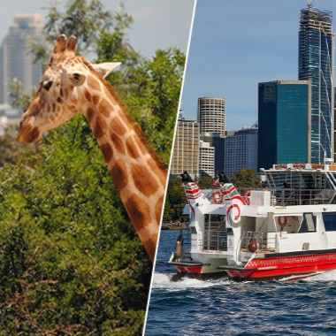 澳大利亚 | 悉尼 塔龙加动物园门票（可选+海港渡轮往返 ）