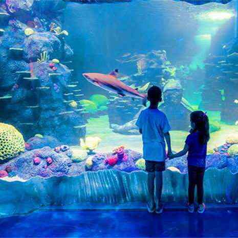 澳大利亚 | 悉尼水族馆 SEA LIFE Sydney Aquarium 入门票