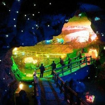 澳大利亚 | 黄金海岸 蓝光萤火虫夜游【 春溪国家公园萤火虫洞】-是有公园特许证的正规夜游团