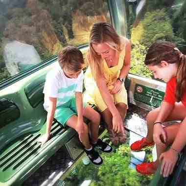 澳大利亚 | 凯恩斯 ~ 库兰达热带雨林经典一日游（ 多种套餐客选，您的行程您做主）