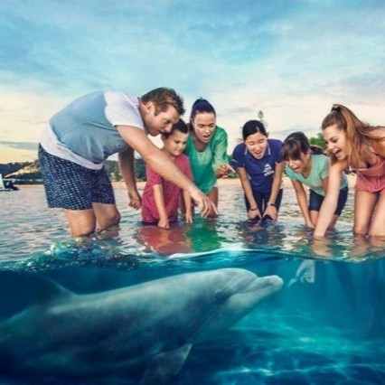 澳大利亚 | 布里斯班2日经典游（含市区景观+海豚岛一日游）两人成行