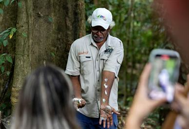 澳大利亚 | 远北秘境之旅~  Port Douglas道格拉斯港, Daintree丹翠热带雨林/Cape Tribulation苦难角一日游(英文精品团）
