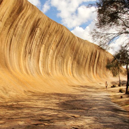 澳大利亚 | 西澳 珀斯 最全景 深度7日游 （3日粉红湖深度游+罗特岛自由行+玛格丽特河1日+波浪岩1日）-有机会送粉红湖全景大片