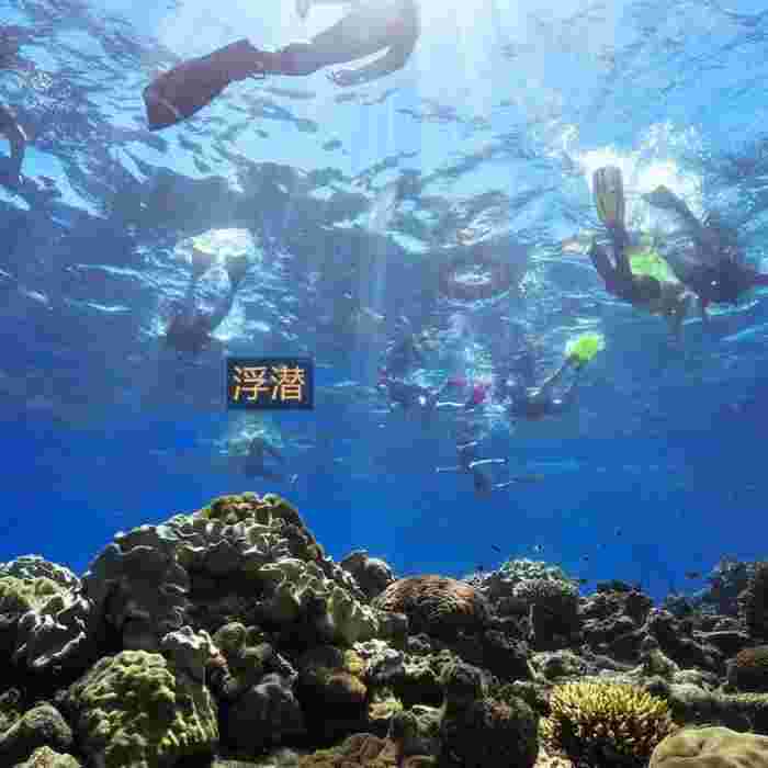 澳大利亚 | 凯恩斯大堡礁经典3日或4日游= FIT自由行首选 （两人成行、随时出发）