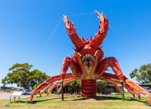 澳大利亚 | 南澳 阿德莱德周边二日游之蓝湖+洞穴花园+大龙虾+石灰岩海岸