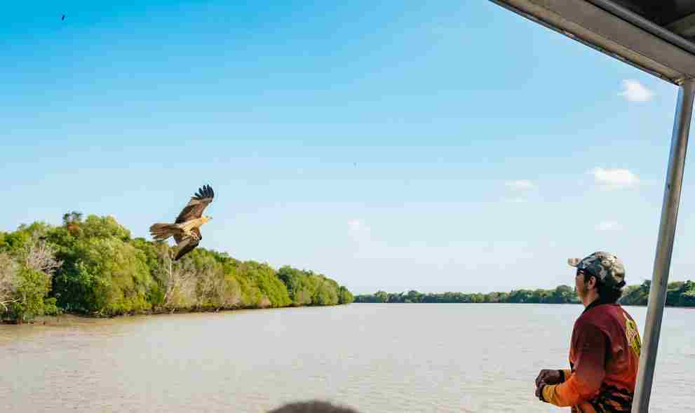 澳大利亚 | 从达尔文出发：卡卡杜荒野与岩石艺术一日游(周一 周四  周六发团，英文导览）