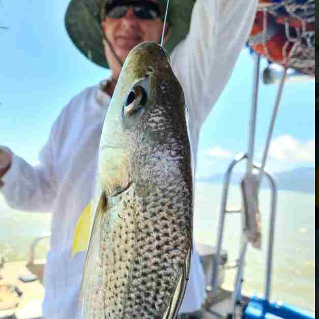 澳大利亚 | 凯恩斯 趣味钓鱼捉泥蟹半天游(英文船长)- 三一湾