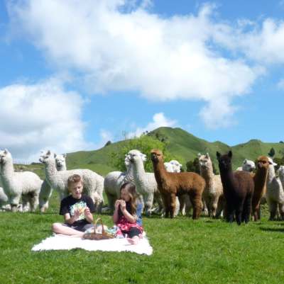 澳大利亚 | 塔斯马尼亚 霍巴特 周边4日心动之旅（霍巴特机场进出）