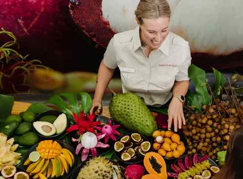 澳大利亚 | 黄金海岸：热带水果世界农场全程之旅-乘坐拖拉机火车游览黄金海岸，探索热带水果世界的果园。观赏袋鼠和农场动物，沿着小溪巡游观赏野生动物等等。