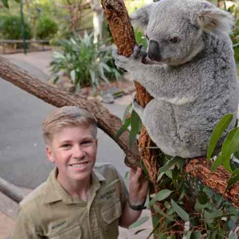 澳大利亚 | 布里斯班或黄金海岸往返- 澳大利亚动物园1日游（含澳大利亚动物园门票+接送）*英文司机不入园陪同游览