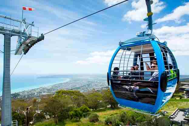 澳大利亚 | 墨尔本 彩虹小屋+果冻海+酒庄+动物园+莫宁顿半岛+蒸汽火车一日游（可选10人团、28人团）