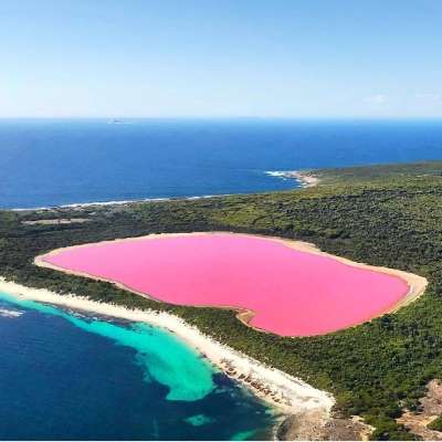 澳大利亚 | 珀斯 西澳超值四天三晚游（市区自由行+粉湖 2 日+罗 岛自由行）