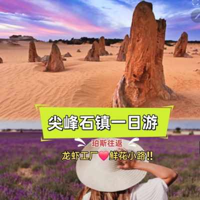 澳大利亚 | 珀斯往返 尖峰石镇+龙虾工厂和扬切普野花之路一日游（英文导览 周四、周五、周六、周日发团）