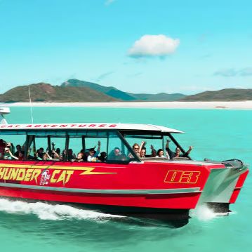 澳大利亚 | 艾尔利海滩：白天堂全日生态巡游=乘船前往圣灵群岛最好的浮潜地点。乘坐该地区最快的双体船参加气候行动主导之旅。