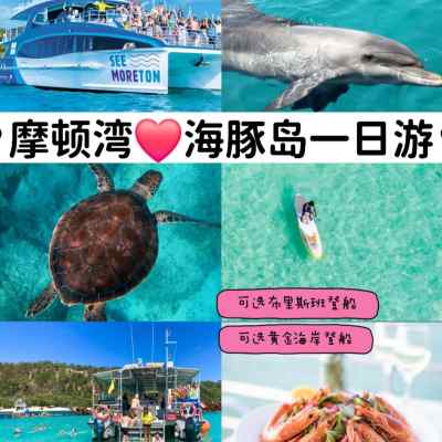 澳大利亚 | 摩顿岛 海豚和天阁露玛沉船一日巡游（可选布里斯班或黄金海岸登船）