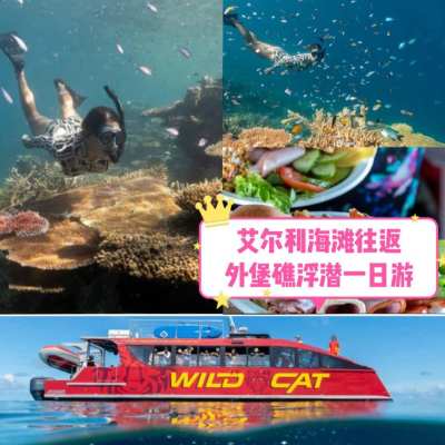 澳大利亚 | 艾尔利往返之外堡礁浮潜一日游