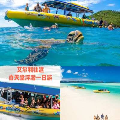 澳大利亚 | 艾尔利 圣灵群岛海洋漂流之旅：浮潜、步行和白天堂