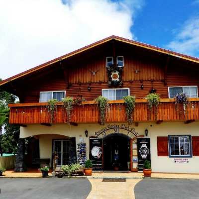 澳大利亚 | 黄金海岸 坦伯林村+坦伯林山国家公园和柯蒂斯瀑布1日游（英文导览）