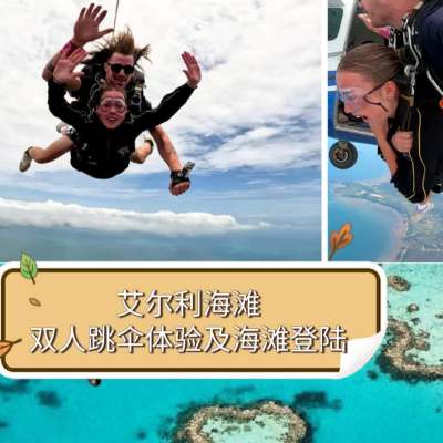 澳大利亚 | 艾尔利海滩：双人跳伞体验及海滩登陆