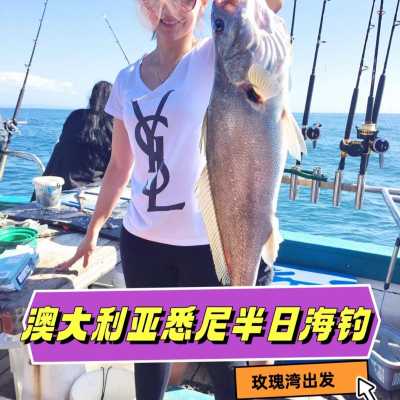 澳大利亚 | 悉尼 半日海钓活动-玫瑰湾出发