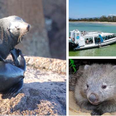 澳大利亚 | 塔斯马尼亚 玛利亚岛1日游
