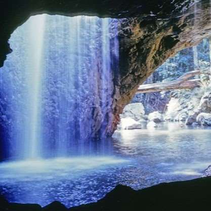 澳大利亚 | 黄金海岸往返  春之泉国家公园+自然桥+瀑布半日游 Springbrook, Natural Bridge & Purlingbrook Falls【英文讲解团】