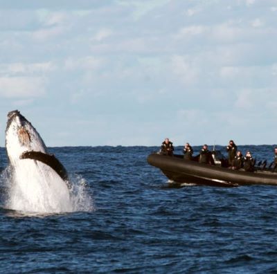 澳大利亚 | 双城游：悉尼+墨尔本8日全景游（本地团首选）2人成行、随时出发