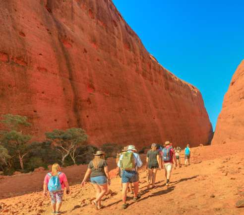 澳大利亚 | 乌鲁鲁马拉文化徒步之旅 Uluru Mala WalkTour 