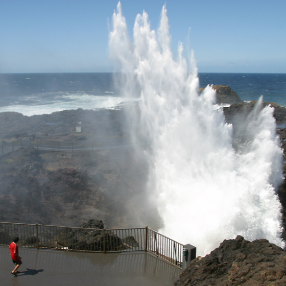 悉尼 | 悉尼周边 南岸卧龙岗和喷水洞人文一日游（中文小团）