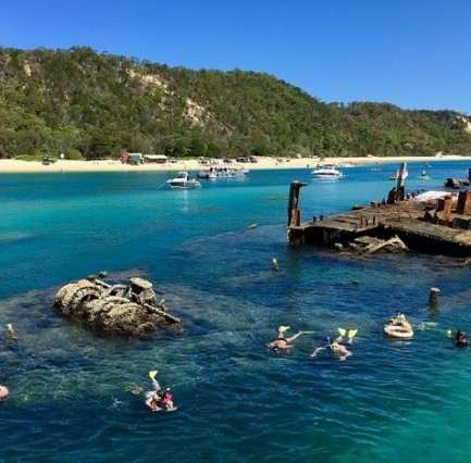 澳大利亚 | 黄金海岸或布里斯班往返 摩顿海豚岛一日游【可选：沙漠四驱越野或浮潜或ATV四轮驱动摩托车】