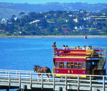 澳大利亚 | 南澳 阿德莱德 魔幻奇趣菲儿半岛一日游