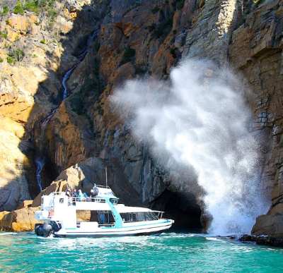 澳大利亚 | 塔斯马尼亚 霍巴特周边一日游（多条线路，任您选择）中文司机兼导游= 市区MYER /CROWN PLAZA/ IBIS HOTEL集合点接送