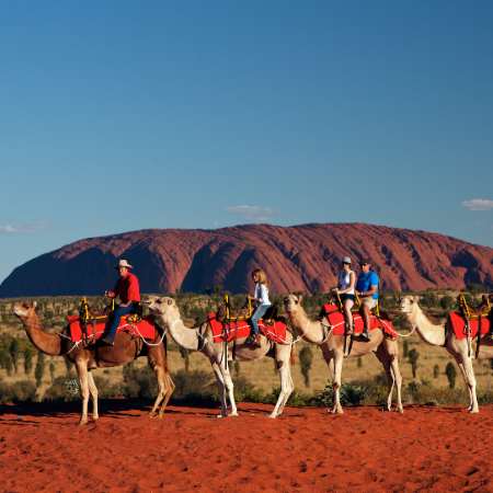 澳大利亚 | 乌鲁鲁 沙漠骆驼体验活动 Uluru Camel Tour-日出之旅、日落之旅、日间之旅