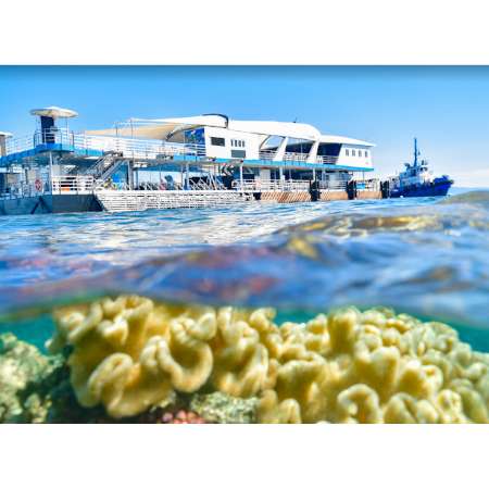 澳大利亚 | 凯恩斯 大堡礁游船船票-Reef Magic 丽礁号外堡礁 （可选直升机或飞去飞回）