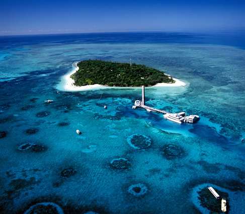 澳大利亚 | 凯恩斯大堡礁 【大猫号】绿岛体验一日游船