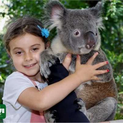 澳大利亚 | 黄金海岸 可伦宾野生动物园门票(可选抱考拉照相/与考拉共进餐)