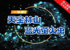 澳大利亚 | 黄金海岸周边中文团 --天宝林山+蓝光萤火虫洞自然风光一日游